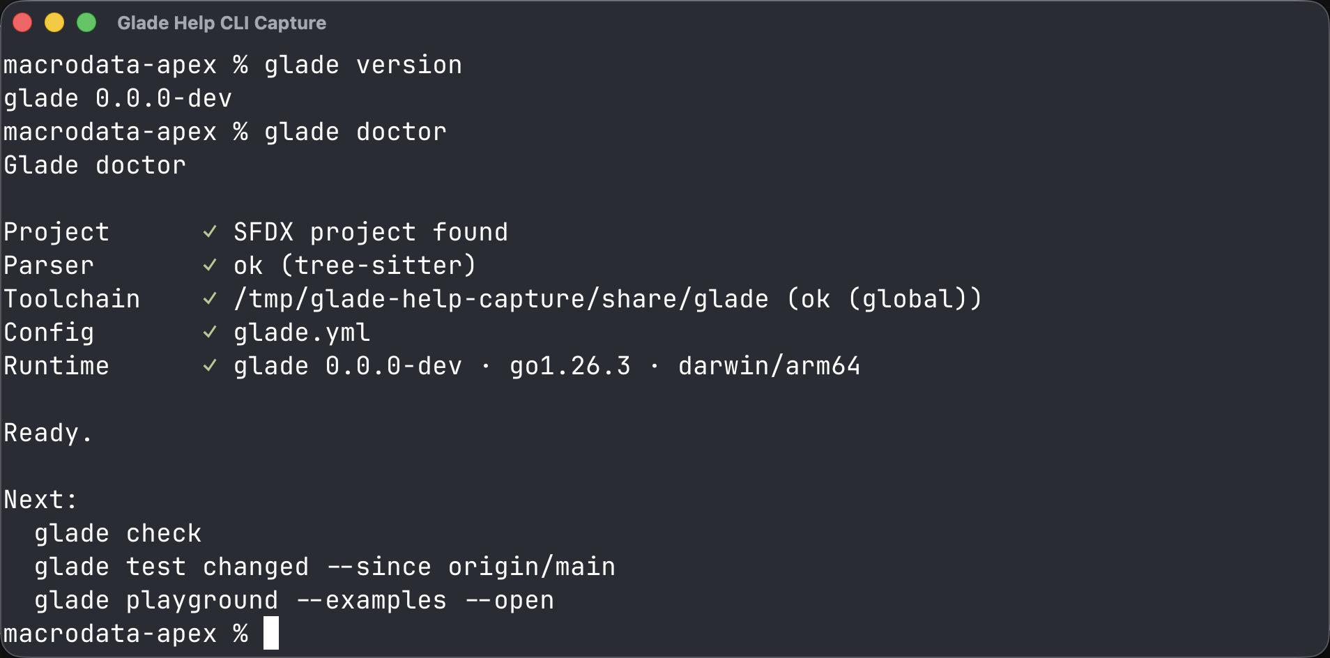Terminal showing glade doctor ready output