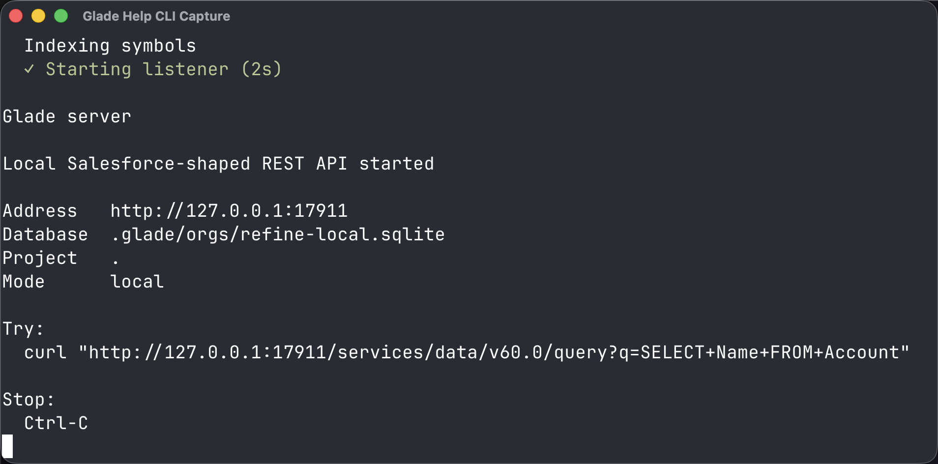 Terminal showing glade org create and start output