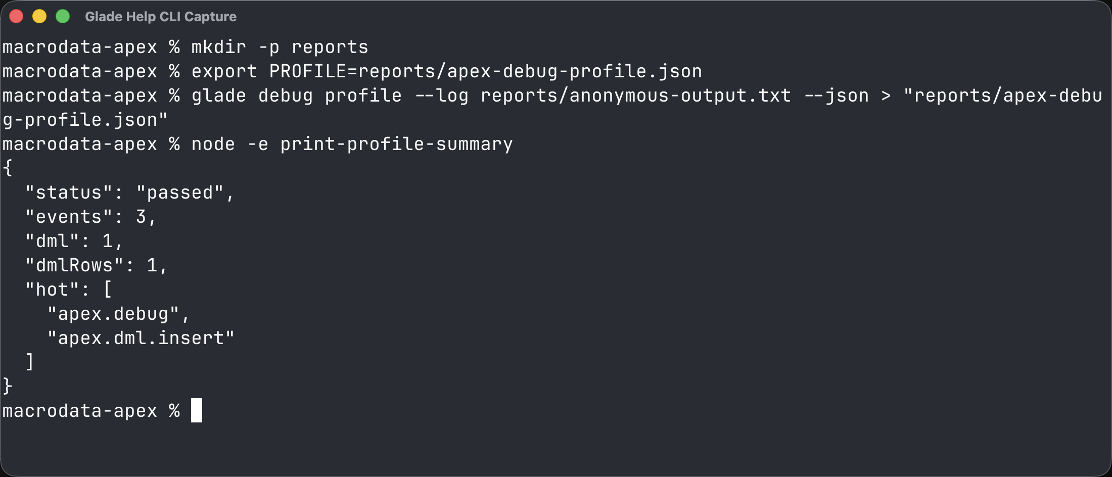 Terminal showing Apex debug log profile JSON