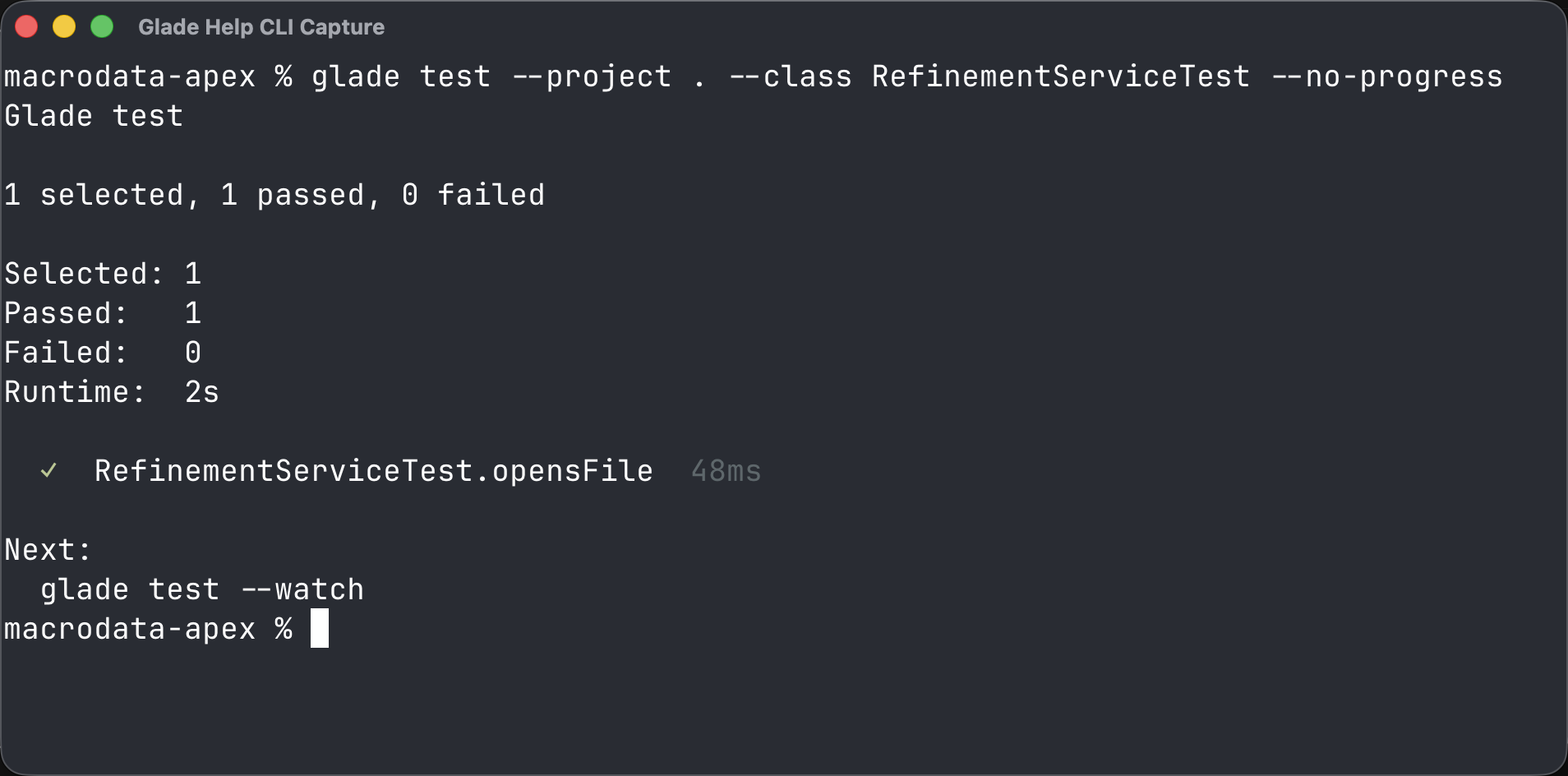 Terminal showing one local Apex test run